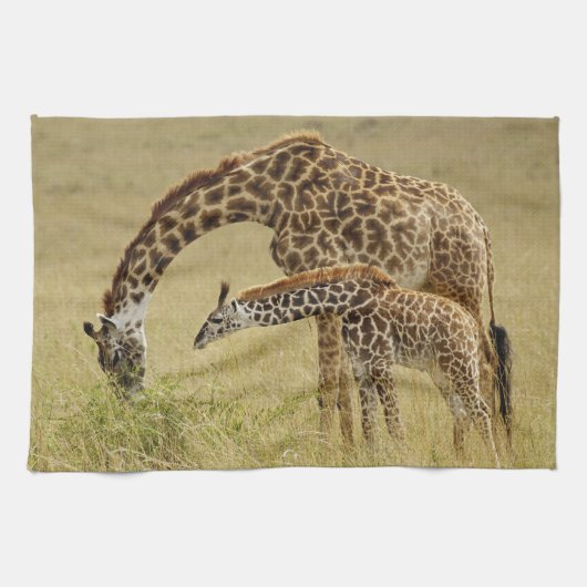 Moeder en baby Masai Giraffe, Giraffa Theedoek (Horizontaal)
