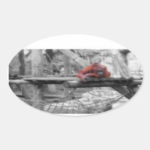 Moeder en Baby orang-oetan Ovale Sticker