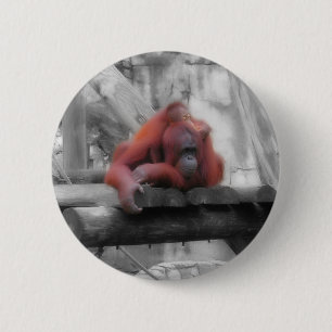 Moeder en Baby orang-oetan Ronde Button 5,7 Cm