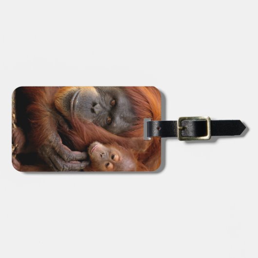 Moeder en Baby Orangutan Bagagelabel (Voorkant horizontaal)