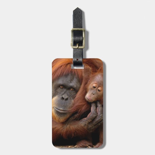 Moeder en Baby Orangutan Bagagelabel (Voorkant verticaal)