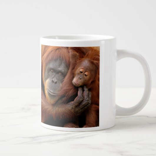 Moeder en Baby Orangutan Grote Koffiekop (Rechts)