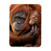 Moeder en Baby Orangutan Magneet (Verticaal)