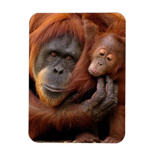 Moeder en Baby Orangutan Magneet (Verticaal)