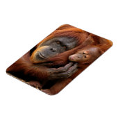Moeder en Baby Orangutan Magneet (Linkerzijde)