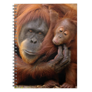 Moeder en Baby Orangutan Notitieboek