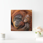 Moeder en Baby Orangutan Vierkante Klok (Huis)