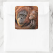Moeder en Baby Orangutan Vierkante Sticker (Tas)