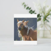 Moeder en Baby paard Briefkaart (Staand voorkant)