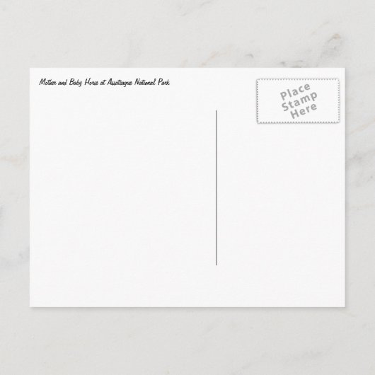 Moeder en Baby paard in Assateague Briefkaart (Achterkant)