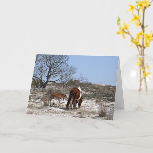 Moeder en Baby paard in Assateague Kaart (Gele Bloem)