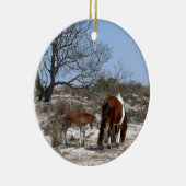 Moeder en Baby paard in Assateague Keramisch Ornament (Rechts)
