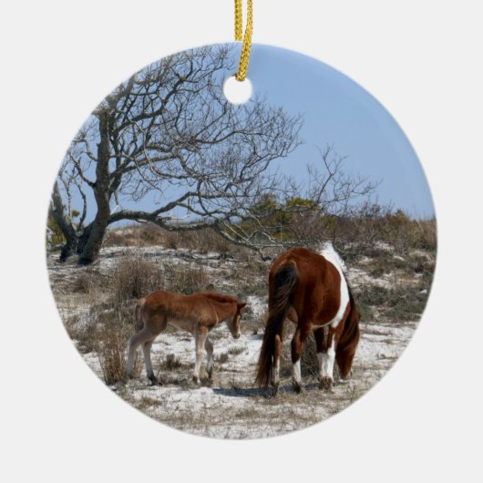 Moeder en Baby paard in Assateague Keramisch Ornament (Voorkant)