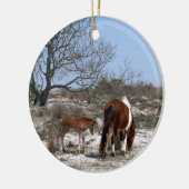 Moeder en Baby paard in Assateague Keramisch Ornament (Links)