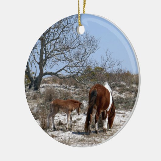 Moeder en Baby paard in Assateague Keramisch Ornament (Links)