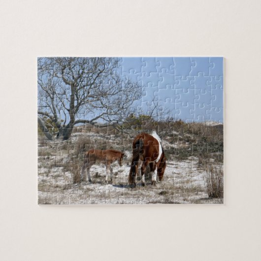 Moeder en Baby paard in Assateague Legpuzzel (Horizontaal)