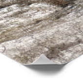 Moeder en Baby paard in Assateague Poster (Hoek)