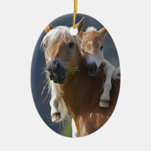 Moeder en Baby paard Keramisch Ornament (Voorkant)