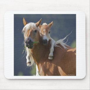 Moeder en Baby paard Muismat