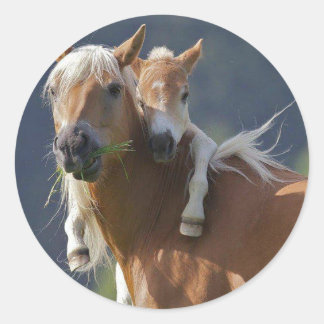 Moeder en Baby paard Ronde Sticker