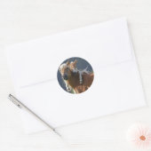Moeder en Baby paard Ronde Sticker (Envelop)