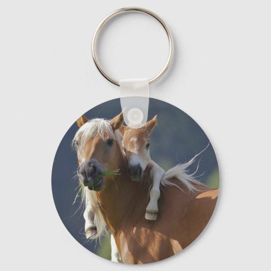 Moeder en Baby paard Sleutelhanger (Voorkant)