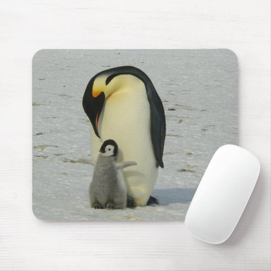 Moeder en Baby Penguin Muismat (Met muis)