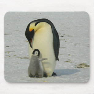 Moeder en Baby Penguin Muismat