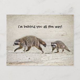 Moeder en Baby Raccoon Briefkaart