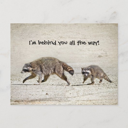 Moeder en Baby Raccoon Briefkaart (Voorkant)