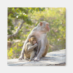 Moeder en baby Rhesus Macaque apen aan de muur Magneet