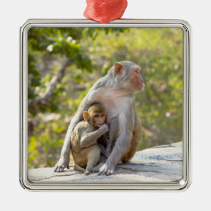 Moeder en baby Rhesus Macaque apen aan de muur Metalen Ornament