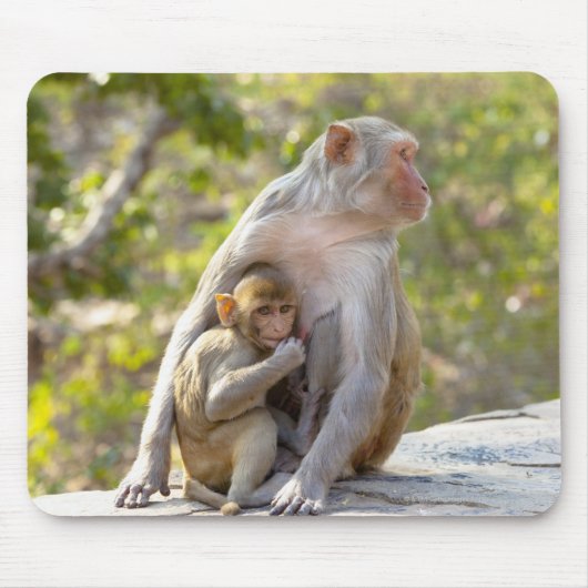 Moeder en baby Rhesus Macaque apen aan de muur Muismat (Voorkant)