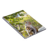 Moeder en baby Rhesus Macaque apen aan de muur Notitieboek (Rechterzijde)
