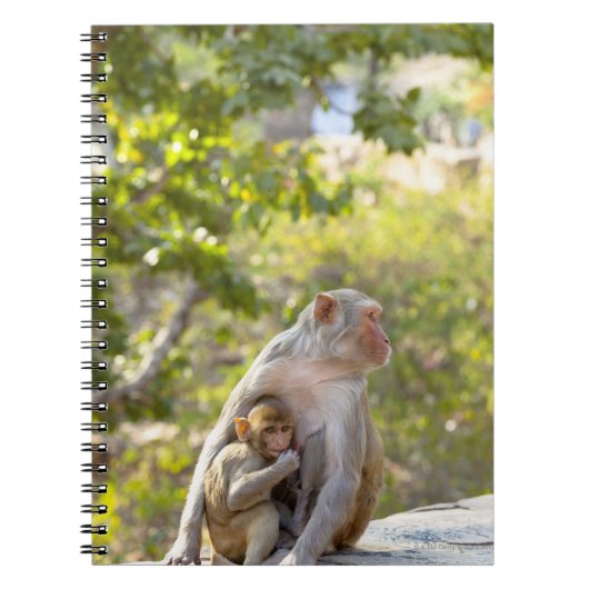 Moeder en baby Rhesus Macaque apen aan de muur Notitieboek (Voorkant)