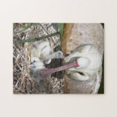 Moeder en Baby vogels Legpuzzel (Horizontaal)