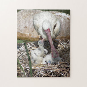 Moeder en Baby vogels Legpuzzel