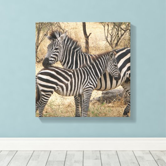 Moeder en Baby Zebra Canvas Print (Insitu (Houten vloer))
