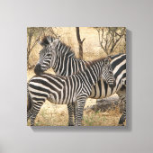 Moeder en Baby Zebra Canvas Print (Voorkant)