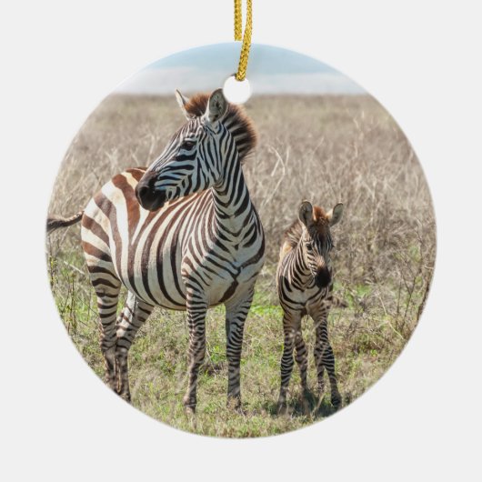 Moeder en Baby Zebra Keramisch Ornament (Voorkant)
