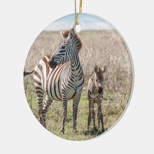 Moeder en Baby Zebra Keramisch Ornament (Links)