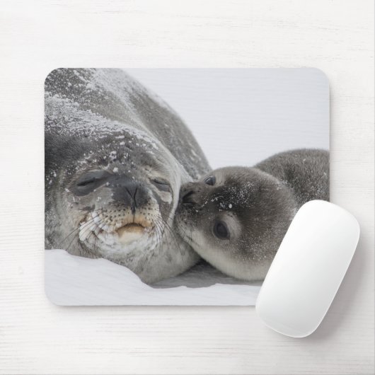 Moeder en Baby zeewier Muismat (Met muis)