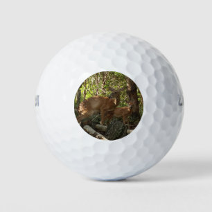 Moeder en babyhert in Shenandoah National Park Golfballen