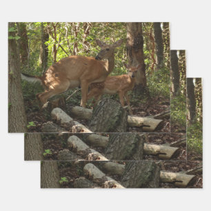 Moeder en babyhert in Shenandoah National Park Inpakpapier Vel