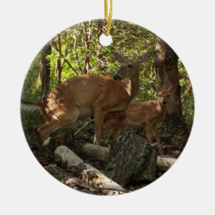 Moeder en babyhert in Shenandoah National Park Keramisch Ornament