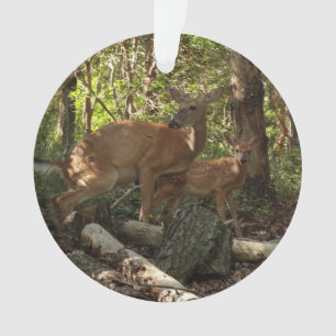Moeder en babyhert in Shenandoah National Park Ornament