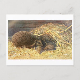 Moeder en baby's Hedgehog  Briefkaart