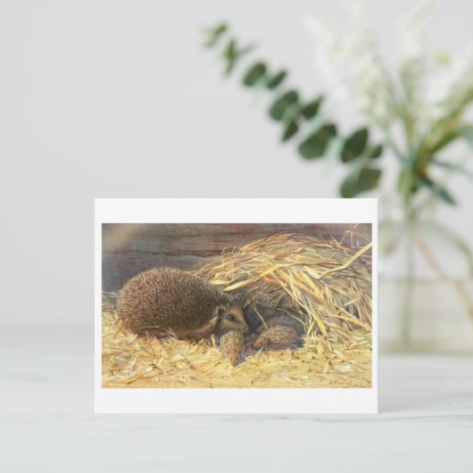 Moeder en baby's Hedgehog Briefkaart (Staand voorkant)