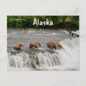Moeder en Beer welpen Gevist in Alaska Briefkaart (Voorkant)