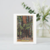 "Moeder" en "Dochter" in Big Trees Park Briefkaart (Staand voorkant)